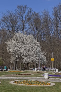 Sofia, Bulgaristan - 27 Mart 2019: Muhteşem bahar manzara South Park şehir Sofya, Bulgaristan
