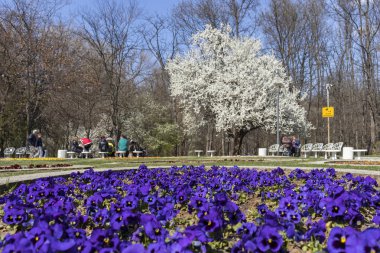 Sofia, Bulgaristan - 27 Mart 2019: Muhteşem bahar manzara South Park şehir Sofya, Bulgaristan