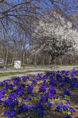 Sofia, Bulgaristan - 27 Mart 2019: Muhteşem bahar manzara South Park şehir Sofya, Bulgaristan