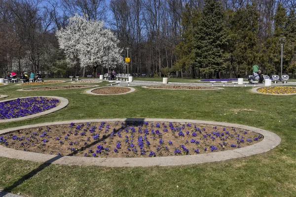 Sofia Bulgarien März 2019 Erstaunliche Frühlingslandschaft Des Südparks Der Stadt — Stockfoto