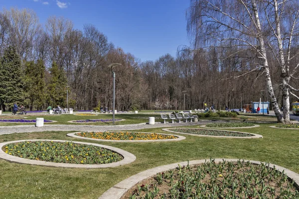 Sofia Bulgaria Марта 2019 Года Удивительный Весенний Пейзаж Южного Парка — стоковое фото