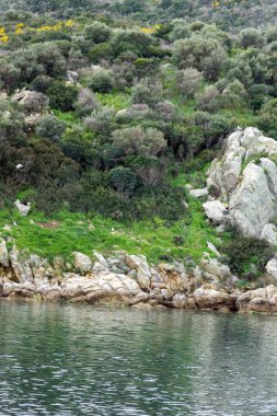 Ammouliani, Yunanistan - 3 Nisan 2015: Kıyı şeridi Ammouliani Adası, Athos, Chalkidiki, orta Makedonya, Yunanistan 