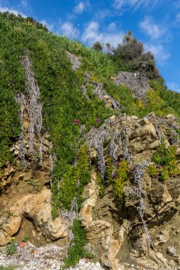 Ammouliani, Yunanistan - 3 Nisan 2015: Kıyı şeridi Ammouliani Adası, Athos, Chalkidiki, orta Makedonya, Yunanistan 