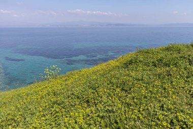 Nea Fokea kasabasının kıyı şeridi, Kassandra, Halkidiki, Orta Makedonya, Yunanistan 'ın muhteşem deniz manzarası