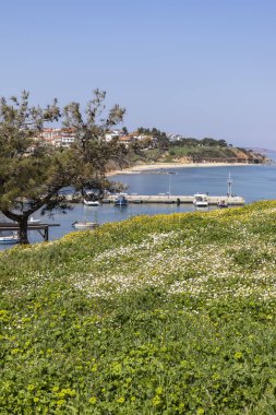 Nea Fokea kasabasının panoramik manzarası, Kassandra, Chalkidiki, Orta Makedonya, Yunanistan