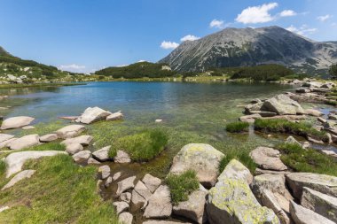 Pirin Dağı, Bulgaristan 'da Muratovo (Hvoynato) göl yaz manzara