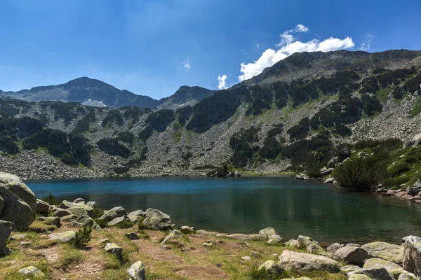 Paisaje Con Peces Lago Banderitsa Montaña Pirin Bulgaria —  Fotos de Stock