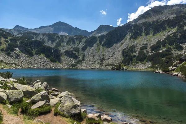 Lansekap Dengan Fish Banderitsa Danau Pirin Gunung Bulgaria — Stok Foto