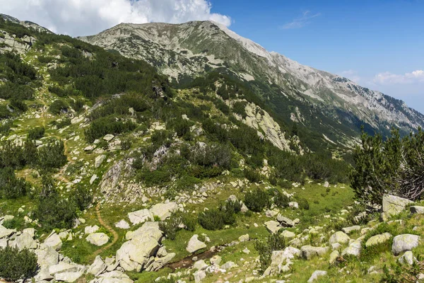 Летний Пейзаж Вершиной Вирен Гора Пирин Болгария — стоковое фото