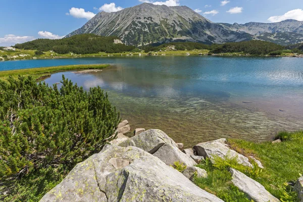 Summer Landscape Muratovo Hvoynato Lake Pirin Mountain Bulgaria — Stock Photo, Image