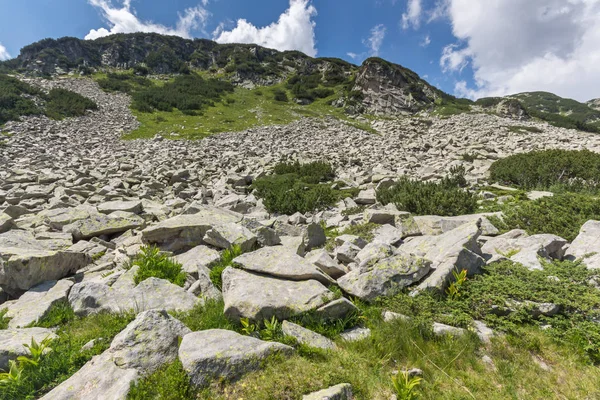 Muhteşem yaz manzara Pirin Dağı, Bulgaristan