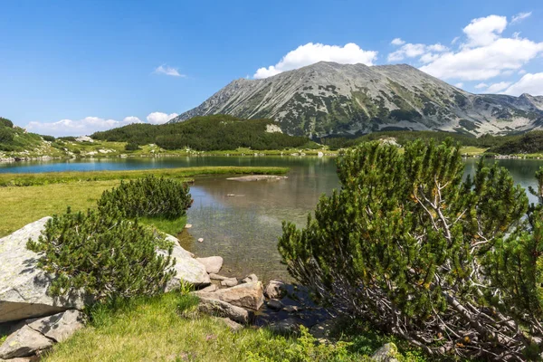 Summer Landscape Muratovo Hvoynato Lake Pirin Mountain Bulgaria — Stock Photo, Image