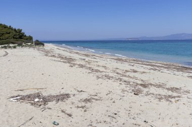 Kassandra Yarımadası 'nda Xenia Golden Beach 'in muhteşem manzarası, Halkidiki, Orta Makedonya, Yunanistan