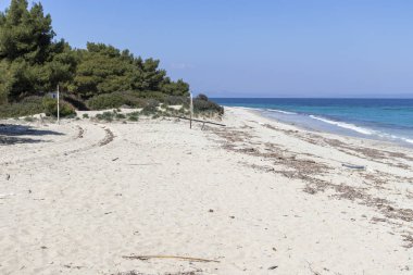 Kassandra Yarımadası 'nda Xenia Golden Beach 'in muhteşem manzarası, Halkidiki, Orta Makedonya, Yunanistan