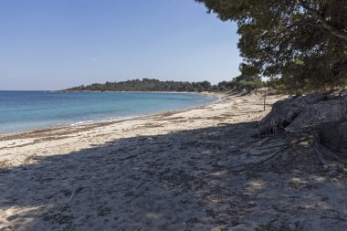 Kassandra Yarımadası 'nda Xenia Golden Beach 'in muhteşem manzarası, Halkidiki, Orta Makedonya, Yunanistan