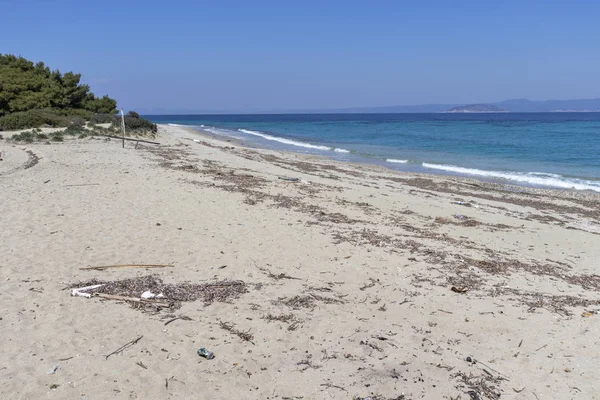 Incredibile Vista Sulla Spiaggia Dorata Xenia Nella Penisola Kassandra Calcidica — Foto Stock