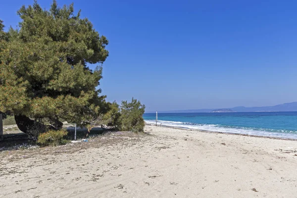 Incredibile Vista Sulla Spiaggia Dorata Xenia Nella Penisola Kassandra Calcidica — Foto Stock