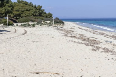 Kassandra Yarımadası 'nda Xenia Golden Beach Panoraması, Chalkidiki, Orta Makedonya, Yunanistan