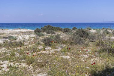 Kassandra Yarımadası, Chalkidiki, Orta Makedonya, Yunanistan 'da Lagoon Beach 'in muhteşem manzarası