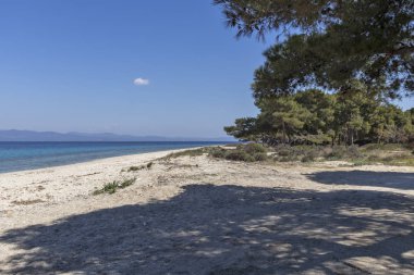 Kassandra Yarımadası, Chalkidiki, Orta Makedonya, Yunanistan 'da Lagoon Beach 'in muhteşem manzarası