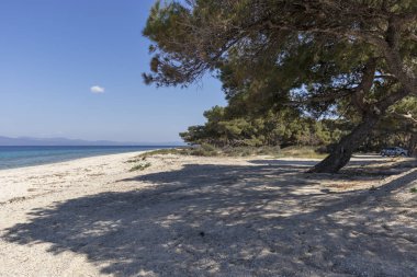 Kassandra Yarımadası, Chalkidiki, Orta Makedonya, Yunanistan 'da Lagoon Beach 'in muhteşem manzarası