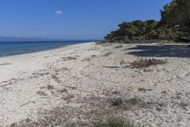 Kassandra Yarımadası, Chalkidiki, Orta Makedonya, Yunanistan 'da Lagoon Beach 'in muhteşem manzarası