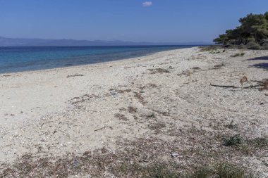 Kassandra Yarımadası, Chalkidiki, Orta Makedonya, Yunanistan 'da Lagoon Beach 'in muhteşem manzarası