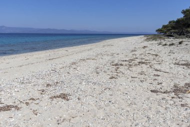 Kassandra Yarımadası, Chalkidiki, Orta Makedonya, Yunanistan 'da Lagoon Beach 'in muhteşem manzarası