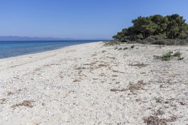 Kassandra Yarımadası, Chalkidiki, Orta Makedonya, Yunanistan 'da Lagoon Beach 'in muhteşem manzarası