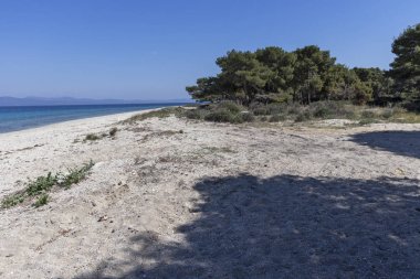 Kassandra Yarımadası, Chalkidiki, Orta Makedonya, Yunanistan 'da Lagoon Beach 'in muhteşem manzarası