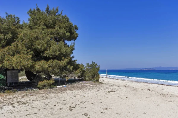 Panorama Xenia Golden Beach Kassandra Peninsula Chalkidiki Central Macedonia Greece — Stock Photo, Image