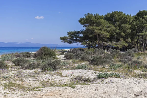 希腊中部沙尔基迪基卡桑德拉半岛泻湖海滩的壮丽景色 — 图库照片