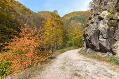 Ecotrail Struilitsa ve Devin Nehri geçidinin sonbahar manzarası, Rodop Dağları, Bulgaristan
