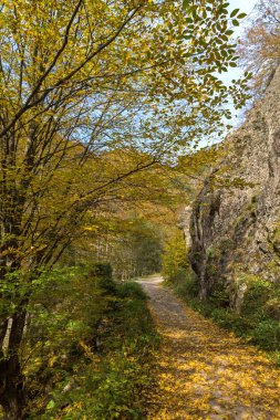 Ecotrail Struilitsa ve Devin Nehri geçidinin sonbahar manzarası, Rodop Dağları, Bulgaristan
