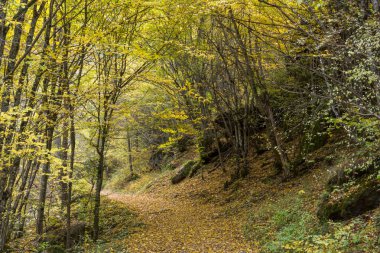 Devin nehir geçidinin muhteşem manzarası, Rodop Dağları, Bulgaristan