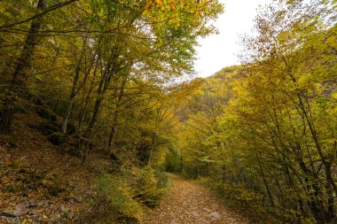 Devin nehir geçidinin muhteşem manzarası, Rodop Dağları, Bulgaristan