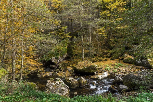 Niesamowity Widok Wąwóz Rzeki Devin Góry Rodopy Bułgaria — Zdjęcie stockowe