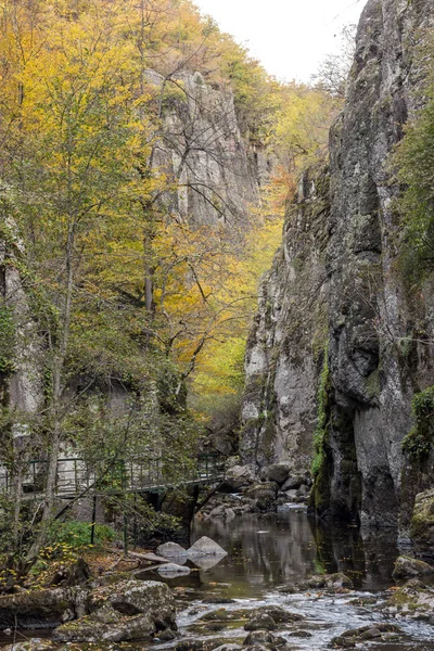 德维恩河峡谷 罗多普山脉 保加利亚的壮丽景色 — 图库照片