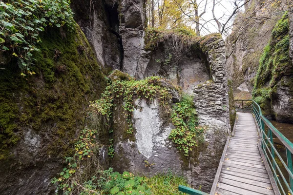 Дивовижний Вид Річки Девін Ущелині Родопі Гори Болгарія — стокове фото