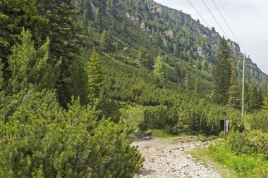 Malyoviska nehir Vadisi üzerinde kara bulutlar ile Manzara, Rila Dağı, Bulgaristan