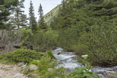 Malyovitsa zirvesi, Rila Dağı, Bulgaristan 'ın yürüyüş parkurundan manzara