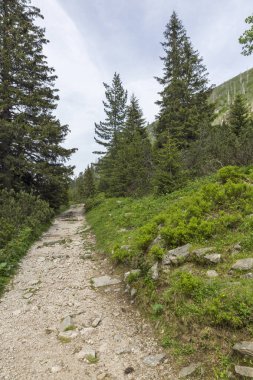 Malyovitsa zirvesi, Rila Dağı, Bulgaristan 'ın yürüyüş parkurundan manzara