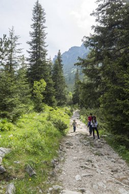 Malyovitsa zirvesi, Rila Dağı, Bulgaristan 'ın yürüyüş parkurundan manzara