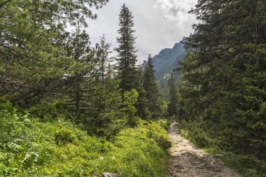 Malyovitsa zirvesi, Rila Dağı, Bulgaristan 'ın yürüyüş parkurundan manzara