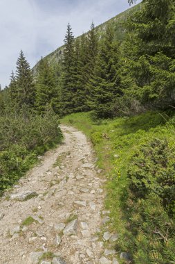 Malyovitsa zirvesi, Rila Dağı, Bulgaristan 'ın yürüyüş parkurundan manzara