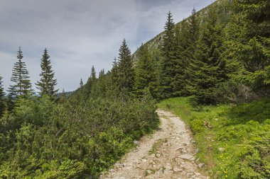 Malyovitsa zirvesi, Rila Dağı, Bulgaristan 'ın yürüyüş parkurundan manzara