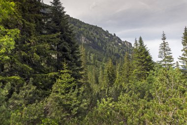 Malyovitsa zirvesi, Rila Dağı, Bulgaristan 'ın yürüyüş parkurundan manzara