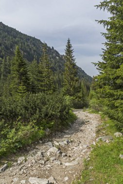 Malyovitsa zirvesi, Rila Dağı, Bulgaristan 'ın yürüyüş parkurundan manzara