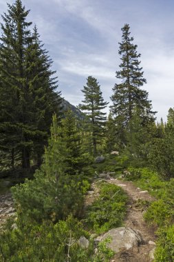 Malyovitsa zirvesi, Rila Dağı, Bulgaristan 'ın yürüyüş parkurundan manzara