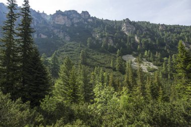 Malyovitsa zirvesi, Rila Dağı, Bulgaristan 'ın yürüyüş parkurundan manzara